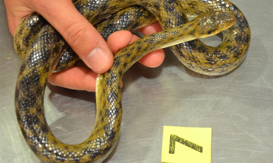 2016-6-3-137foto 11.jpg